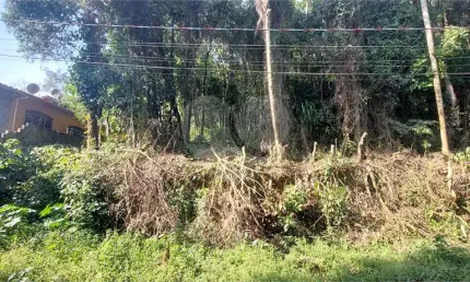 Casa em condomínio fechado à venda na Doutor Arthur Andrade Filho, Caraguatá, Mairiporã