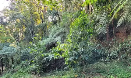 Casa em condomínio fechado à venda na Das Gaivotas, Serra da Cantareira, Mairiporã