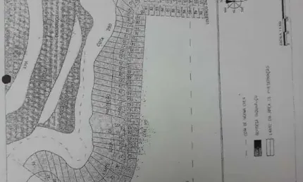 Chácara / sítio à venda na Centenario Do Sul, Zona Rural, Centenário do Sul