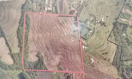 Chácara / sítio à venda na Estrada São Bento, Jardim São Domingos, Maringá