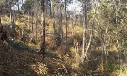 Terreno à venda, 8600 m² por R$ 400.000,00 - Jardim dos Lagos - Franco da Rocha/SP