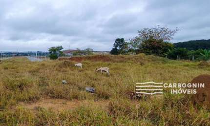 Terreno à venda na Avenida Américo Ribeiro de Souza, S/N, Jardim Panorama, Caçapava