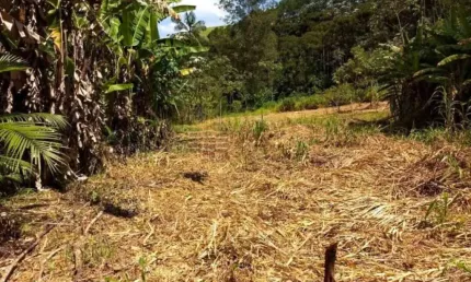 Chácara / sítio com 1 quarto à venda na Rodovia Do Livro Km10, Pedregulho, Caçapava