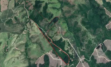 Chácara / sítio com 1 quarto à venda na Estrada Municipal Borda da Mata, Sítio, Borda da Mata, Caçapava