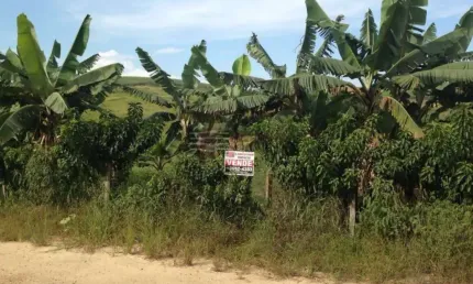 Chácara / sítio com 1 quarto à venda na Rua Aníbal José Faria, Sítio, Guamirim, Caçapava