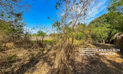 Chácara / sítio com 1 quarto à venda na Estrada Municipal Do Tataúba, S/N, Tataúba, Caçapava