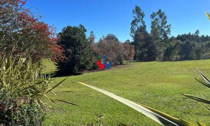Galpão / Depósito / Armazém para venda em Campina Grande Do Sul de 156963.00m²