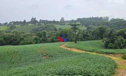 Chácara para venda em Contenda de 79000.00m² com 1 Quarto