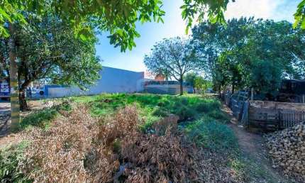 Lote / Terreno para venda em Jardim José Ometto Ii de 219.00m²