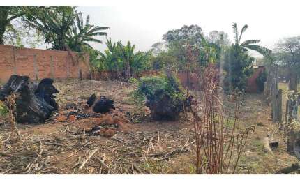 Terreno para venda em Parque Dos Eucaliptos Ii de 680.00m²