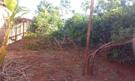 Terreno à venda na Avenida José Haroldo Bassi, Jardim Indaiá, Araraquara