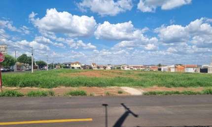 Terreno para venda em Jardim Tabapuã (vila Xavier) de 250.00m²