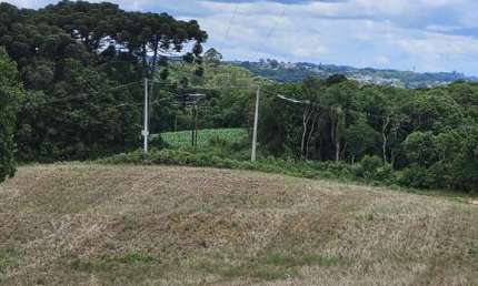 Casa para venda em Vila David Antônio de 20600.00m² com 1 Quarto
