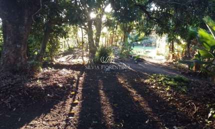 Terreno para venda em Vila Nossa Senhora Das Graças de 1770.00m²
