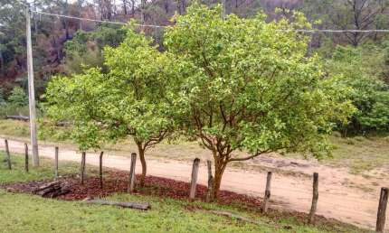 Fazenda / Sítio para venda em Inhayba de 50.00m² com 2 Quartos e 5 Garagens