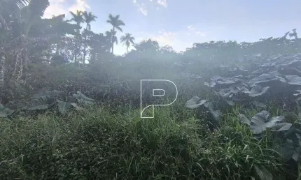 Terreno en Condomínio para venda em Granja Viana de 307.00m²