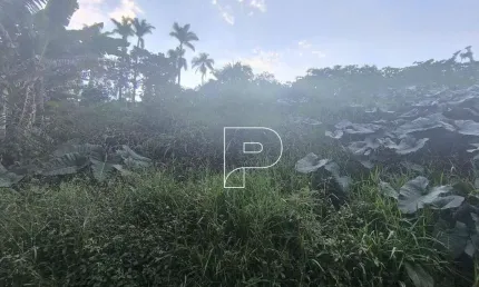 Terreno en Condomínio para venda em Granja Viana de 284.00m²