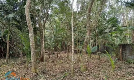 Imóvel Comercial para venda em Itapecerica Da Serra de 4000.00m²