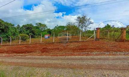 Terreno à venda no Centro, Pardinho 