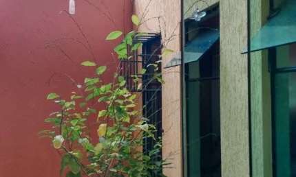 Sobrado para venda em Centro de 216.00m² com 3 Quartos, 1 Suite e 4 Garagens