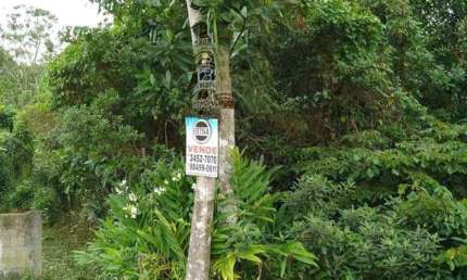 Terreno à venda no Centro, Matinhos 