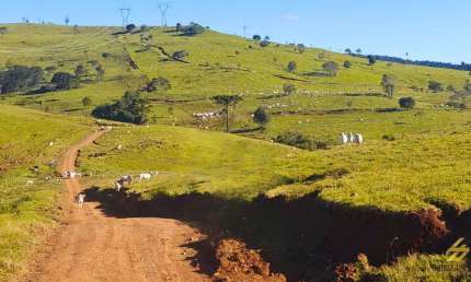 Lote / Terreno para venda em Centro de 7040000.00m² com 1 Quarto