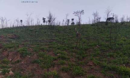 Terreno para venda em Botujuru (botujuru) de 20456.00m²