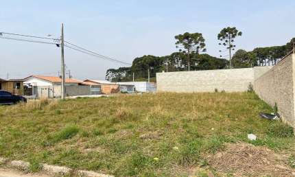 Terreno à venda na Rua Ignez Gazzola Cruz, 001, Rio Pequeno, São José dos Pinhais