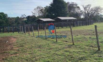 Fazenda / Sítio para venda em Iv Centenário de 1089000.00m² com 1 Quarto