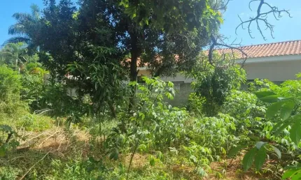 Terreno à venda na Avenida Orlando Jayme Donato, Jardim Esplanada, Araraquara