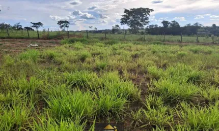 Terreno à venda na Rua Francisco Antonio De Souza Gimenez, 926, Setcity, São José do Rio Preto