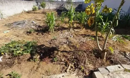 Terreno para venda em Residencial Novo Horizonte de 260.00m²