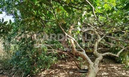 Terreno à venda na Rua Marechal Deodoro, 3942, Vila Faria, São Carlos