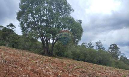Terreno à venda no Centro, Pedra Bela 