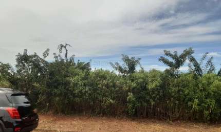 Terreno para venda em Jardim Santa Marta de 1140.00m²