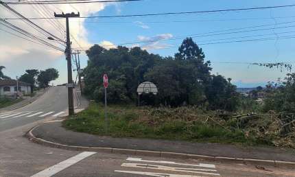 Terreno para venda em Colônia Antônio Prado de 498.00m²
