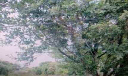 Lote / Terreno para venda em São Braz de 2486.00m² com 1 Quarto