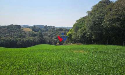 Chácara para venda em Capela Velha de 20000.00m² com 1 Quarto