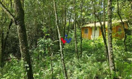 Chácara para venda em São Miguel de 11000.00m² com 1 Quarto