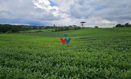 Fazenda / Sítio para venda em Campo Magro de 48400.00m² com 1 Quarto