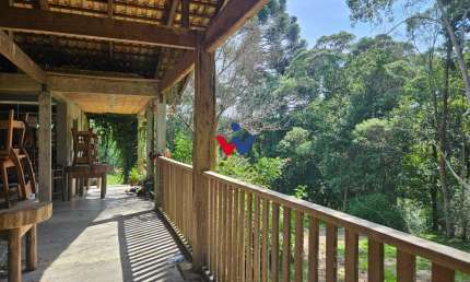 Chácara para venda em Colônia Murici de 22454.00m² com 3 Quartos e 6 Garagens