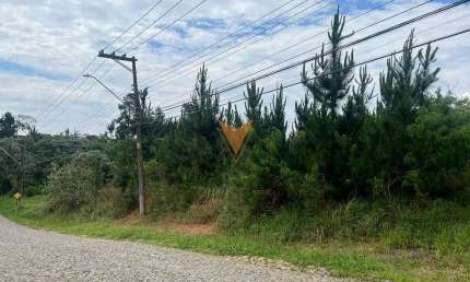 Terreno à venda na Estrada do Lutero, 1204837, Paisagem Renoir, Cotia
