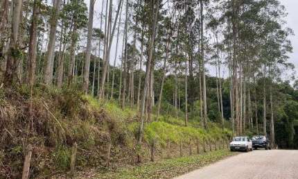Terreno para venda em Jardim Patriarca de 45000.00m²