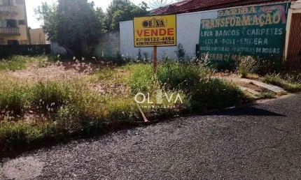 Terreno para venda e aluguel em Vila Angélica de 341.00m²