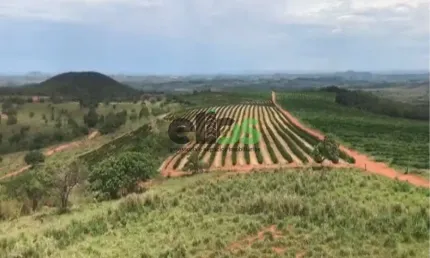 Fazenda / Sítio para venda em Centro de 1674.00m² com 1 Quarto