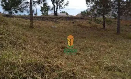 Terreno para venda em Residencial Nova Canaã de 300.00m²