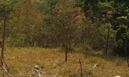 Lote / Terreno para venda em Salto De Baixo de 1400.00m²
