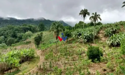 Fazenda / Sítio para venda em Morretes de 33.00m² com 1 Quarto