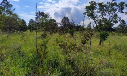 Terreno à venda no Campos Eliseos, Pardinho 
