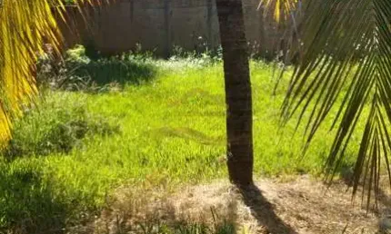 Chácara para venda em Estância Santa Rosa de 1500.00m² com 2 Quartos